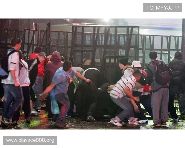 法国体育部长提出用便衣警察区分足球流氓加强球迷管理